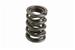 Click here for more information about Ford Racing M-6513-A351 - Ford Racing Valve Springs