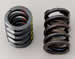 Ford Racing M-6513-A50 - Ford Racing Valve Springs