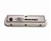 Click here for more information about Ford Racing Aluminum Valve Covers