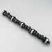 Click here for more information about COMP Cams 34-336-4 - COMP Cams Magnum Hydraulic Camshafts