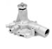 Click here for more information about GMB North America 130-1260P - GMB High Performance Water Pumps