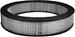 Click here for more information about Hastings Filters 262-AF843 - Hastings Air Filters