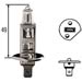 Click here for more information about Hella H83115001 - Hella Halogen Light Bulbs