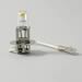 Click here for more information about Hella H83135081 - Hella Yellow Star Light Bulbs
