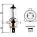 Click here for more information about Hella H83140101 - Hella Halogen Light Bulbs