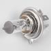 Click here for more information about Hella H83140171 - Hella Halogen Light Bulbs