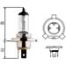 Click here for more information about Hella H83160211 - Hella Halogen Light Bulbs
