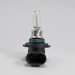 Click here for more information about Hella H83165271 - Hella Halogen Light Bulbs