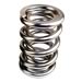 Howards Cams Electro Polished Performance Valve Springs