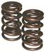 Click here for more information about Howards Cams 98541 - Howards Cams Max Effort Mechanical Roller Valve Springs