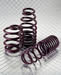 Intrax Suspension 25-1-001 - Intrax Suspension Lowering Springs