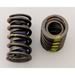 Isky Racing Cams 6005 - Isky Valve Springs
