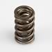 Isky Tool Room RAD Racing  Valve Springs