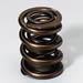 K-Motion K-700 - K-Motion Valve Springs
