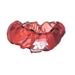 K&N E-3740PR - K&N PreCharger Air Filter Wraps