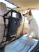 Kurgo 00006 - Kurgo Backseat Barriers