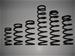 Click here for more information about Landrum Conventional Rear Coil Springs