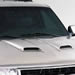 Click here for more information about Lund Industries 80001 - Lund Industries Eclipse Hood Scoops