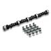 Lunati 01001LK - Lunati Street Avenger Cam and Lifter Kits