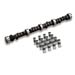 Lunati 06103LK - Lunati High Efficiency Cam and Lifter Kits