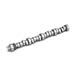 Lunati 51018LUN - Lunati Hydraulic Roller Tappet Camshafts