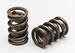 Lunati 73815LUN - Lunati Valve Springs