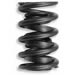 Isky Racing Cams 7005-12 - Isky Valve Springs
