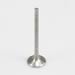 Manley Titanium Valves