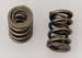 Manley 221424-16 - Manley NexTek Valve Springs
