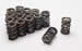 Manley 221425-16 - Manley NexTek Valve Springs
