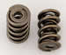 Click here for more information about Manley 221448-16 - Manley NexTek Valve Springs
