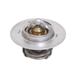 Click here for more information about Meziere Enterprises WN0070170 - Meziere Thermostats