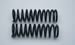 Moog Chasis Parts AMG5244 - Moog Replacement Coil Springs