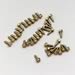 Moroso 90100 - Moroso Wheel Rim Screws