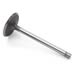 GM Performance 10241743 - GM Performance Replacement Valves
