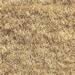 Click here for more information about Trim Parts 53223-854 - Trim Parts Carpet Kits