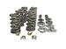 Patriot Performance 8501 - Patriot Performance Xtreme Valve Spring and Retainer Kits