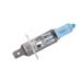 Click here for more information about PIAA 11655 - PIAA Xtreme White Plus Light Bulbs