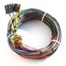 Painless Wiring 21000 - Painless Performance Engine Wiring Harnesses