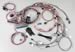 Click here for more information about Painless Wiring 60217 - Painless Performance Fuel Injection Harnesses