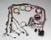 Click here for more information about Painless Wiring 60218 - Painless Performance Fuel Injection Harnesses