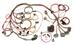 Painless Wiring 60502 - Painless Performance Fuel Injection Harnesses