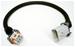 Proform LS Ignition Coil Wiring Harness Extensions