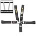RCI Racing 9210D - RCI Latch Release Harnesses