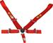 Click here for more information about RCI Racing 9510CB - RCI Camlock Harnesses