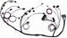 Click here for more information about Ron Francis Wiring COBRA75 - The Detail Zone Ford 5.0 EFI Universal Fit Wiring Systems