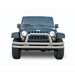 Click here for more information about Rampage 8420 - Rampage Tube Bumpers