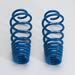 Roush Performance 401295 - Roush Mustang Rear Coil Springs