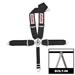 Click here for more information about Simpson Racing 29108BK - Simpson Camlock Driver Restraint Systems