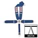 Click here for more information about Simpson Racing 29108BL - Simpson Camlock Driver Restraint Systems